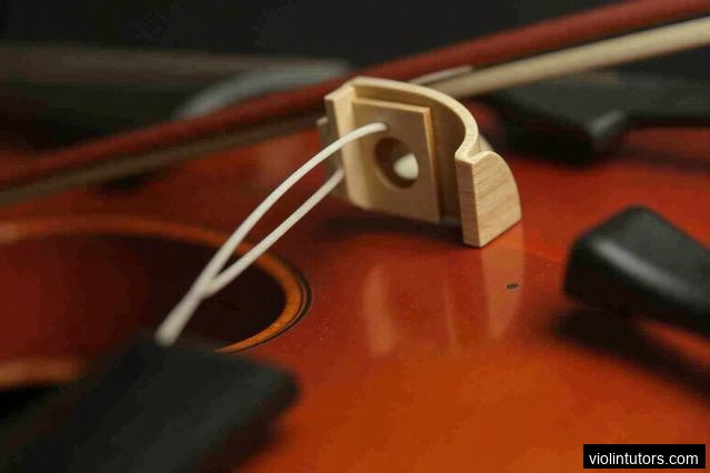 Interactive Virtual Lesson Platform